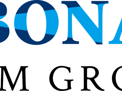  博纳影业2，影视电影logo 