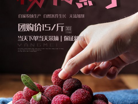  美食广告海报296 