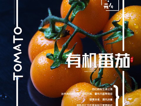 美食广告海报101