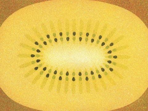  创意极简平涂插画日本当代艺术绘画 