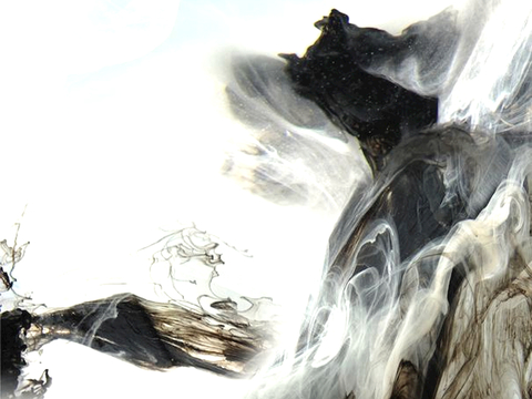  中式新中式挂画壁画字画山水花鸟背景墙壁纸装饰画油画 