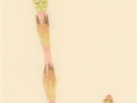  创意极简平涂插画日本当代艺术绘画 