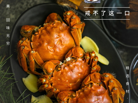  餐饮美食广告海报301 