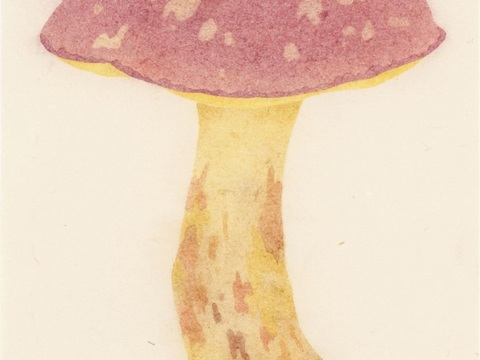  创意极简平涂插画日本当代艺术绘画 