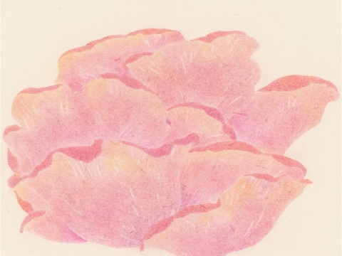  创意极简平涂插画日本当代艺术绘画 