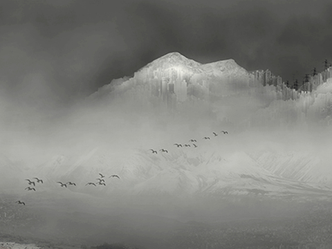  中式新中式挂画壁画字画山水花鸟背景墙壁纸装饰画油画 