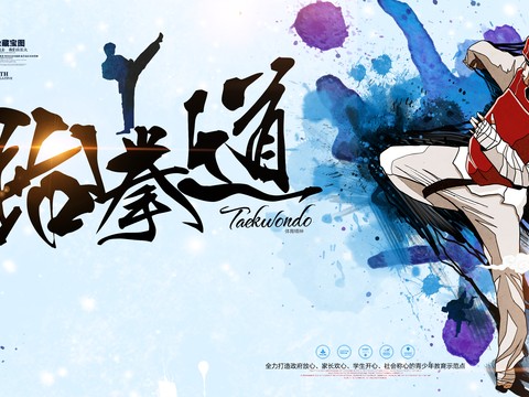 跆拳道运动健身广告海报7