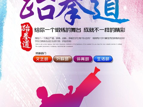 跆拳道运动健身广告海报25