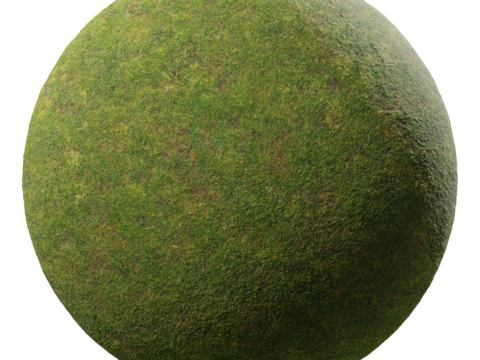 平坦的草地纹理