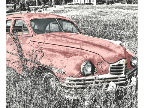  中式新中式挂画壁画字画山水花鸟背景墙壁纸装饰画油画 