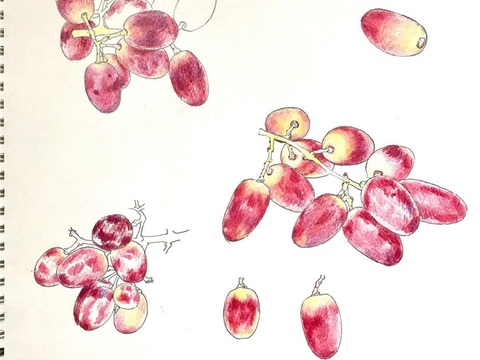  创意极简平涂插画日本当代艺术绘画 