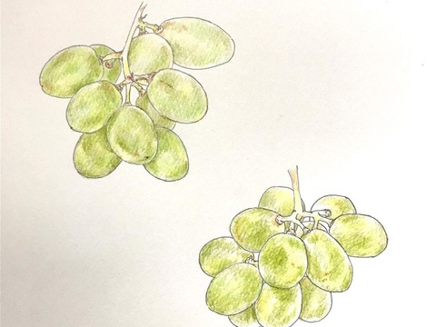  创意极简平涂插画日本当代艺术绘画 