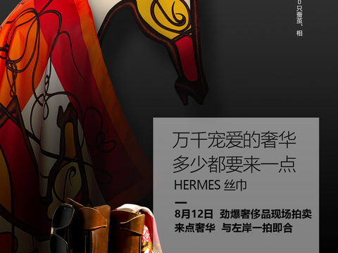 高端奢侈品海报31