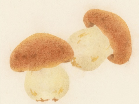  创意极简平涂插画日本当代艺术绘画 