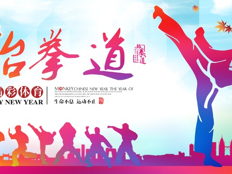 跆拳道运动健身广告海报26