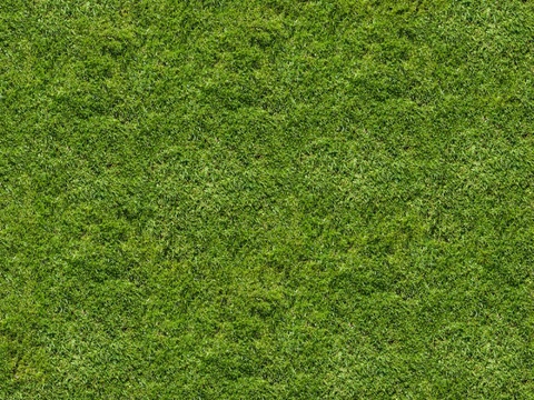 无缝自然草地草皮草坪