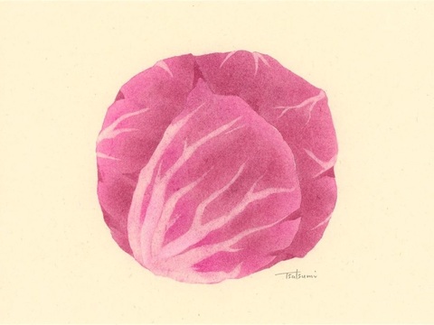  创意极简平涂插画日本当代艺术绘画 