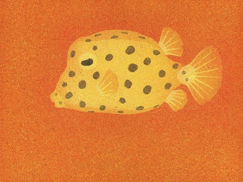  创意极简平涂插画日本当代艺术绘画 