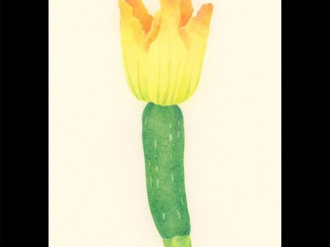  创意极简平涂插画日本当代艺术绘画 