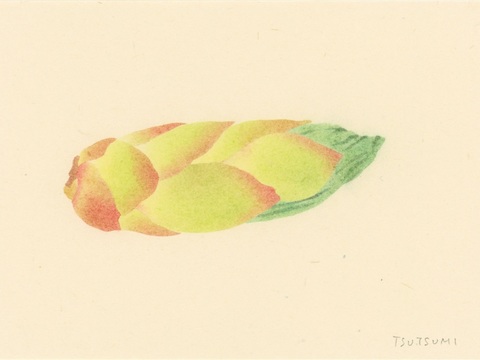  创意极简平涂插画日本当代艺术绘画 