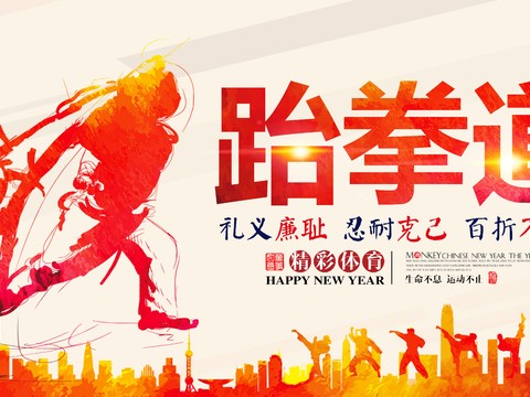 跆拳道运动健身广告海报30