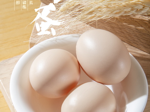  餐饮美食广告海报290 