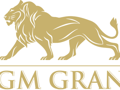  米高梅公司，影视电影logo 