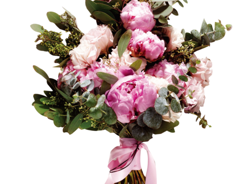 现代花卉植物PNG免抠