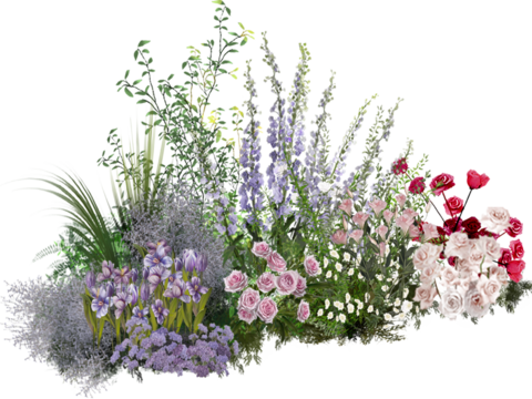 现代花卉植物PNG免抠