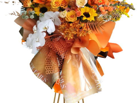 现代花卉植物PNG免抠