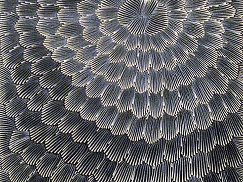 新中式现代地毯