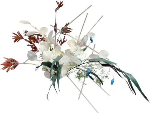 现代花卉植物PNG免抠
