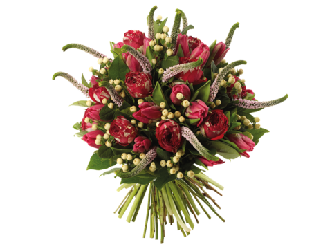  现代花卉植物PNG免抠 