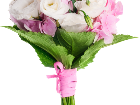 现代花卉植物PNG免抠