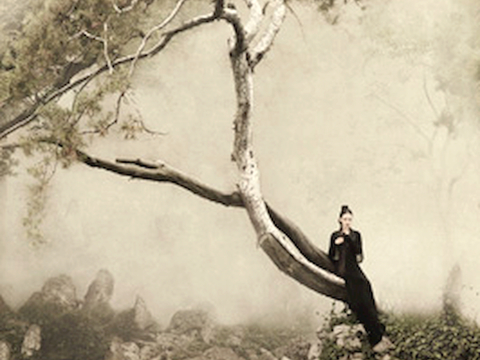  中式新中式挂画壁画字画山水花鸟背景墙壁纸装饰画抽象画油画 