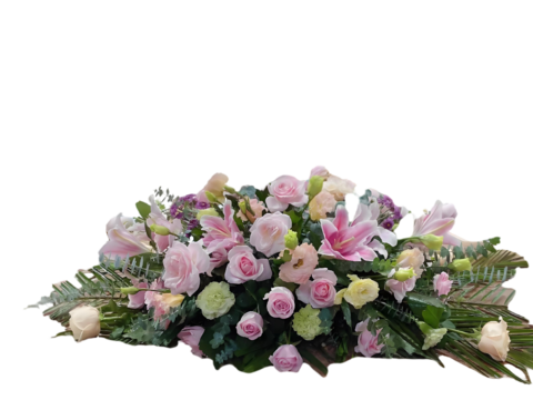 现代花卉植物PNG免抠