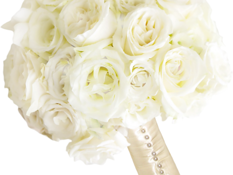 现代花卉植物PNG免抠