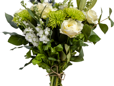 现代花卉植物PNG免抠