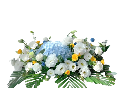 现代花卉植物PNG免抠