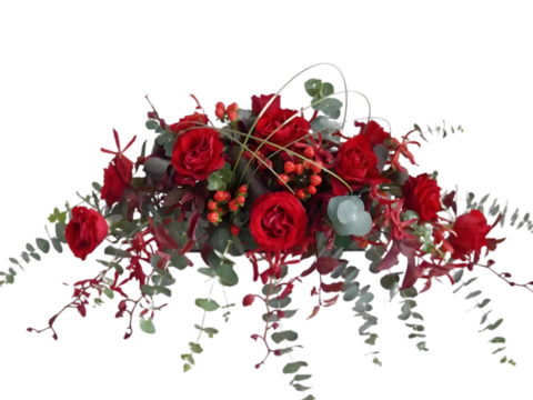  现代花卉植物PNG免抠 