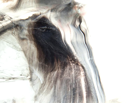  中式新中式挂画壁画字画山水花鸟背景墙壁纸装饰画抽象画油画 