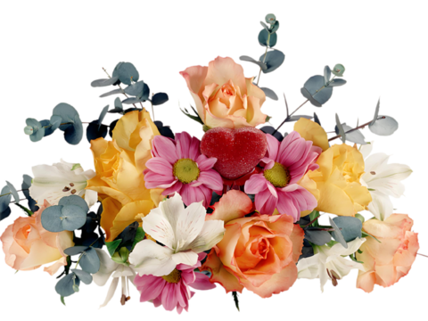  现代花卉植物PNG免抠 