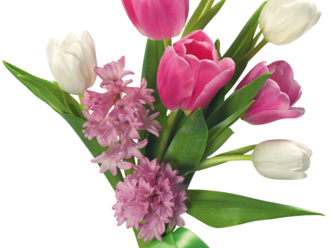  现代花卉植物PNG免抠 