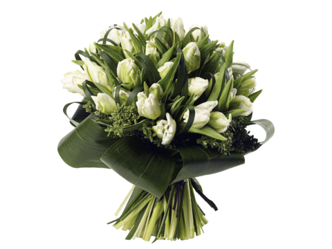 现代花卉植物PNG免抠