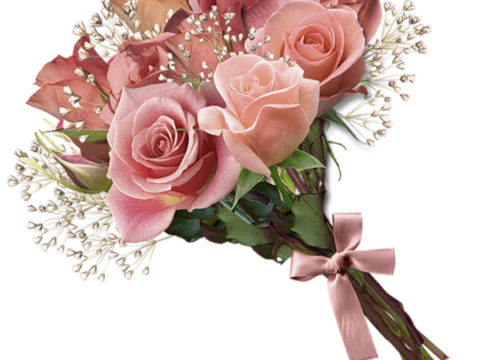  现代花卉植物PNG免抠 