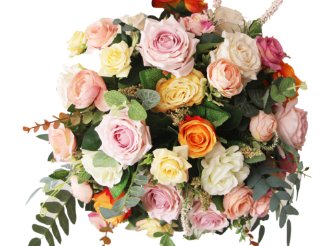  现代花卉植物PNG免抠 