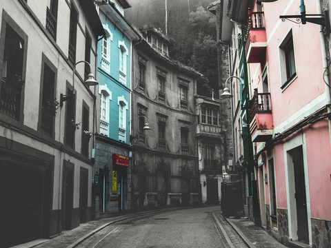  中式新中式挂画壁画字画山水花鸟背景墙壁纸装饰画油画 