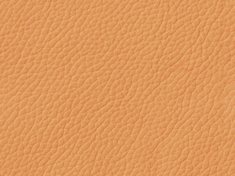 橙色皮革 