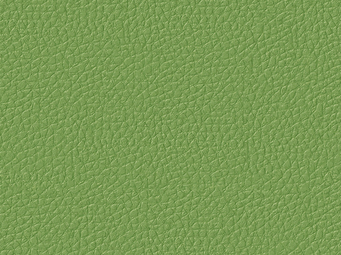 绿色皮革