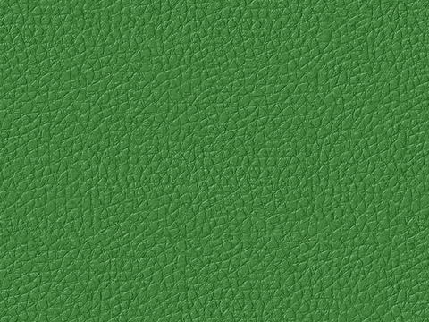  绿色皮革 